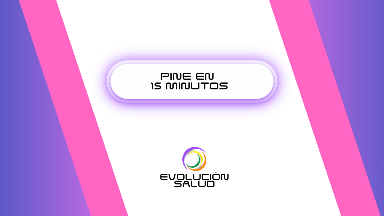 PINE en 15 minutos: lo esencial